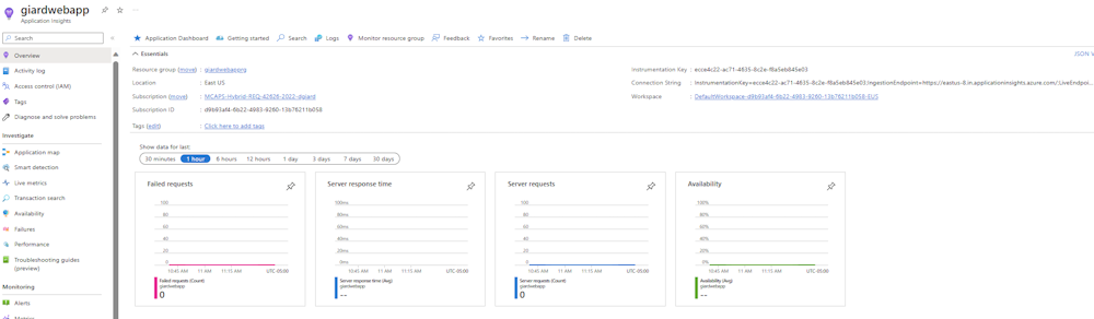 Application Insights Application Overview Tab
